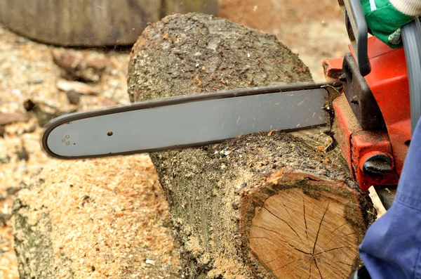 Detail of the chainsaw cutting the log — Stock Photo, Image