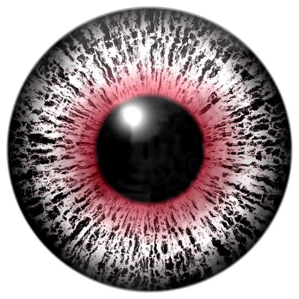 Detalle del ojo con iris rojo, blanco y pupila negra — Foto de Stock