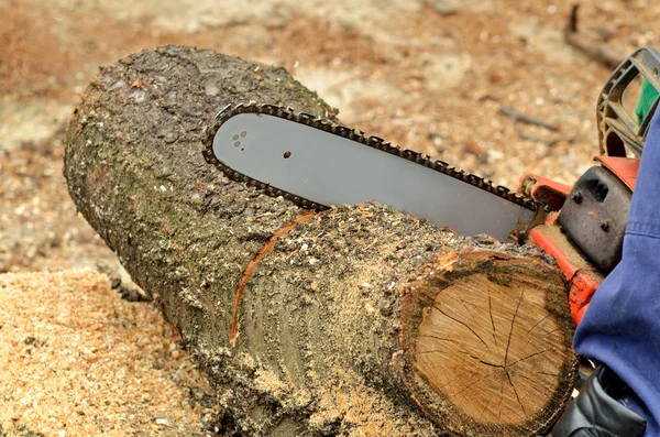 Dettaglio della motosega che taglia il tronco — Foto Stock