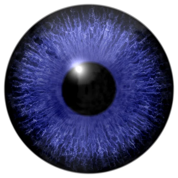 Detalhe do olho com íris de cor azul e pupila preta — Fotografia de Stock