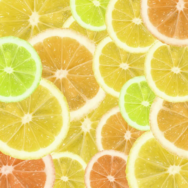 Une tranche de citron, d'orange et de citron vert — Photo