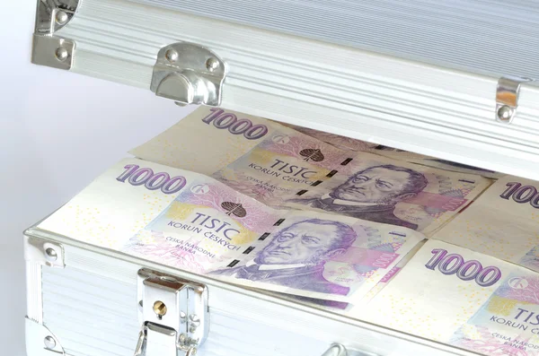 Çek banknotlar binlerce para para dolu çanta — Stok fotoğraf