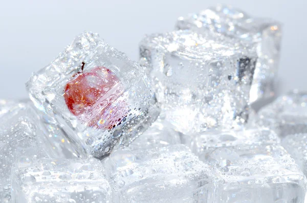 Macro de maçã congelada em um dos cubos de gelo com gotas de água — Fotografia de Stock