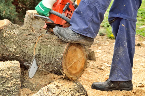 Uomo con motosega che taglia il tronco di legno — Foto Stock