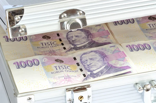 Koffer vol van Tsjechische bankbiljetten geld munt — Stockfoto