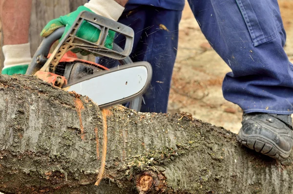 Uomo con motosega che taglia il tronco di legno — Foto Stock