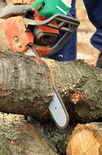 Dettaglio della motosega che taglia il tronco di legno — Foto Stock