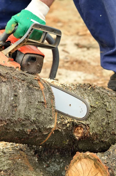 Dettaglio della motosega che taglia il tronco di legno — Foto Stock