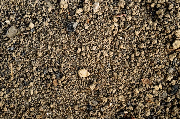 Black nourishing ground prepared for planting. Spring field preparation for sowing texture background. — Stock Photo, Image