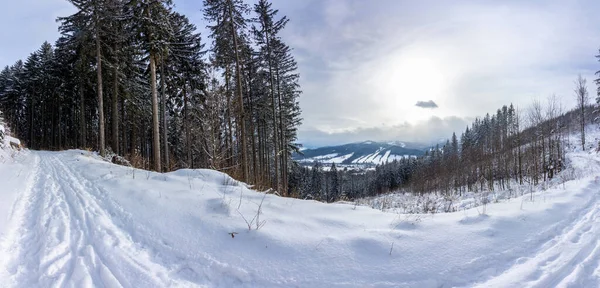 Jeseniky dağlarında kış karlı manzarası. Pomezi 'den Medvedi Kamen' e giden yol. — Stok fotoğraf