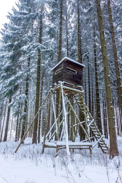 Sněžný lov vysoký hajný ukrytý uprostřed lesa. — Stock fotografie