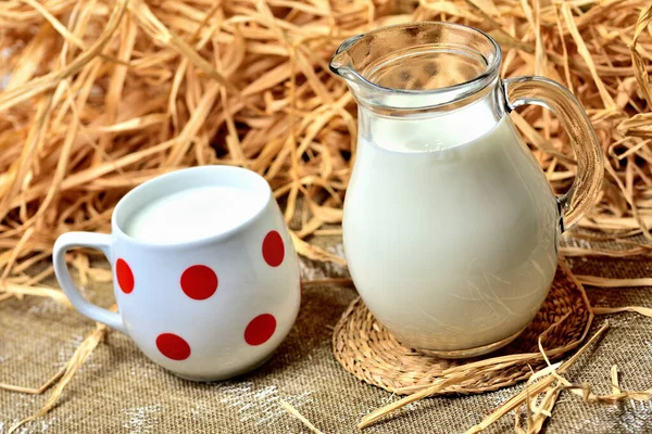 Leite de vaca em uma caneca vermelha e jarro de vidro no fundo decorativo vintage com palha seca e feno — Fotografia de Stock