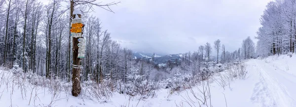 Çek Cumhuriyeti 'nin Jeseniky dağlarındaki Medvedi Kamen manzarası altındaki tabela direğinde karlı bir kavşak. — Stok fotoğraf