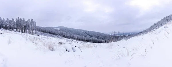 Jeseniky dağlarındaki kışın panoramik manzarası. Pomezi 'den Medvedi Kamen' e giden yol. — Stok fotoğraf