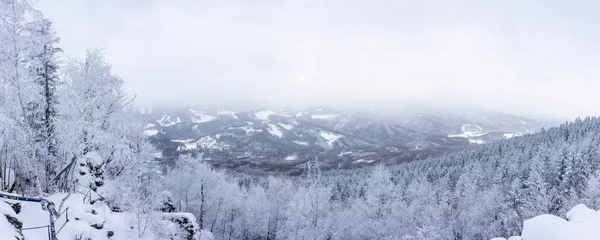 Medvedi Kamen 'in Jeseniky dağlarındaki kış karlı manzarasının panoramik manzarası. — Stok fotoğraf