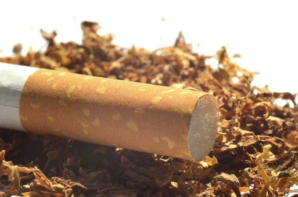 Close-up detail of cigarette filter on tobacco — Stock Photo, Image