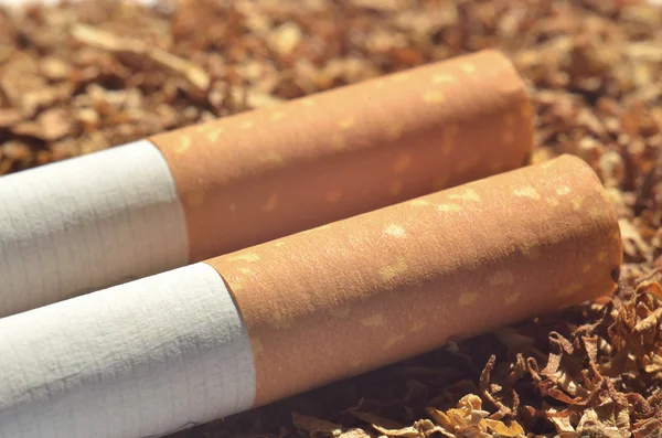 Detail of two cigarette with filter on tobacco — Stock Photo, Image