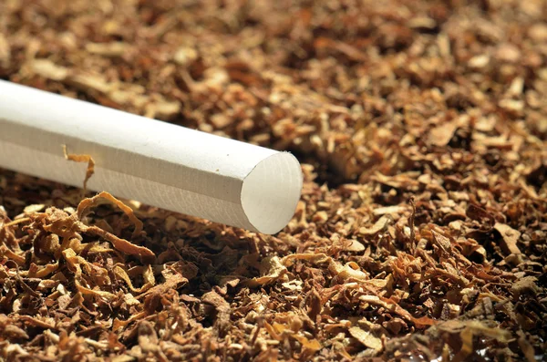 Detail trubice prázdné cigaretový tabák — Stock fotografie
