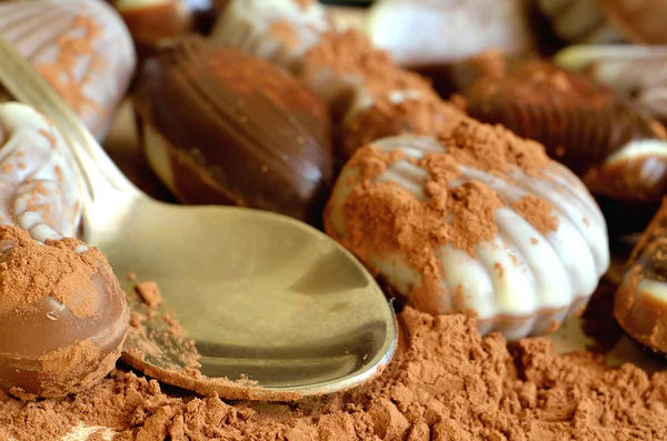 Dulces de chocolate con forma de concha y caballitos de mar —  Fotos de Stock