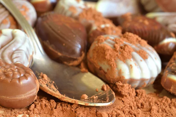 Chocolate candies shaped like seashell and seahorse — Stock Photo, Image