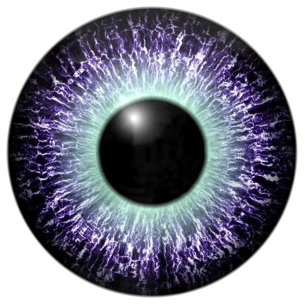 Деталь ока з фіолетовими кольоровими ірисами та чорними зіницями — стокове фото