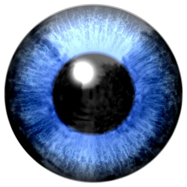 Detalle del ojo con iris de color azul y pupila negra — Foto de Stock