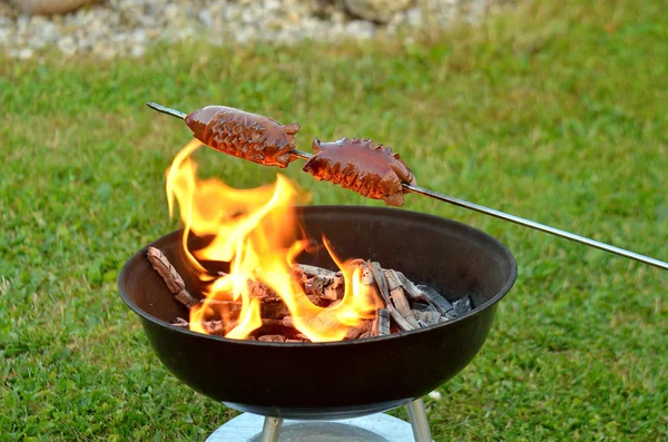 Grilling sausages over a fire — Stock Photo, Image