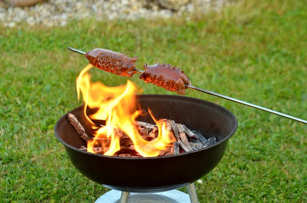 Würstchen über dem Feuer grillen — Stockfoto