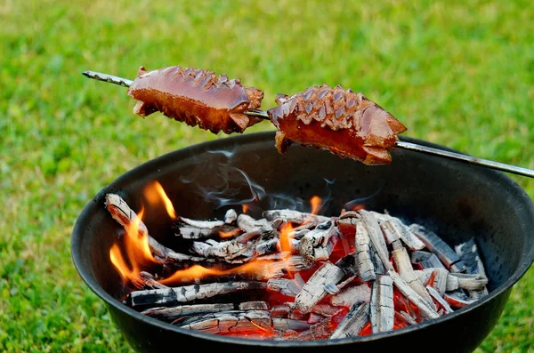 Grillowania kiełbasek nad ogniem — Zdjęcie stockowe