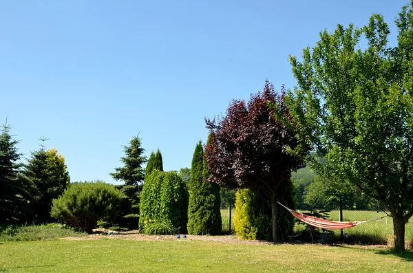 Sommergarten mit frischem Gras, Bäumen und Hängematte — Stockfoto