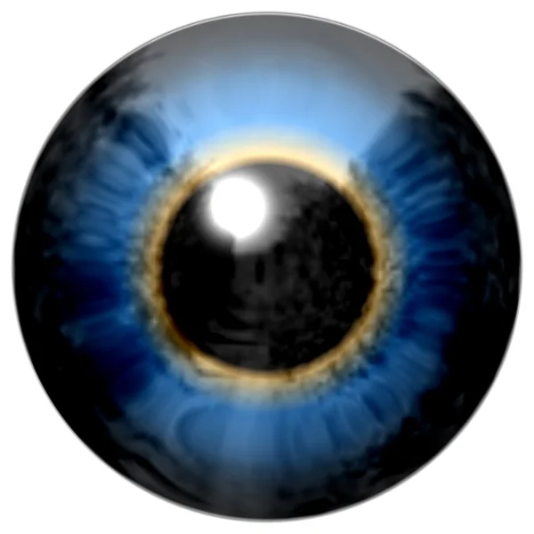 Detalle del ojo con iris de color azul y pupila negra — Foto de Stock
