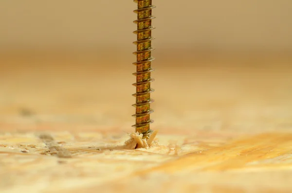 Detail of self-tapping screw — Stock Photo, Image