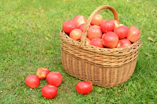 Cesta de mimbre llena de manzanas rojas — Foto de Stock