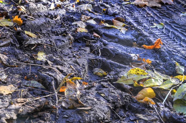 Tire tracks in the mud of autumn — Stock Photo, Image