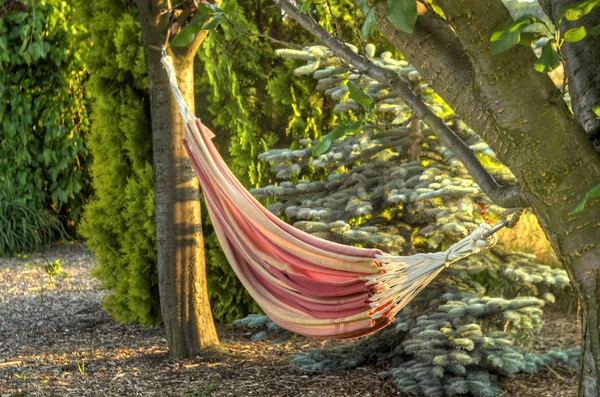 Gün batımında bahçesinde iki ağaç arasında hamak — Stok fotoğraf