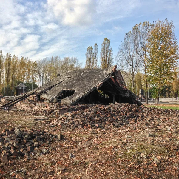 Auschwitz 'teki yok edilen gaz odası bir toplama kampı.