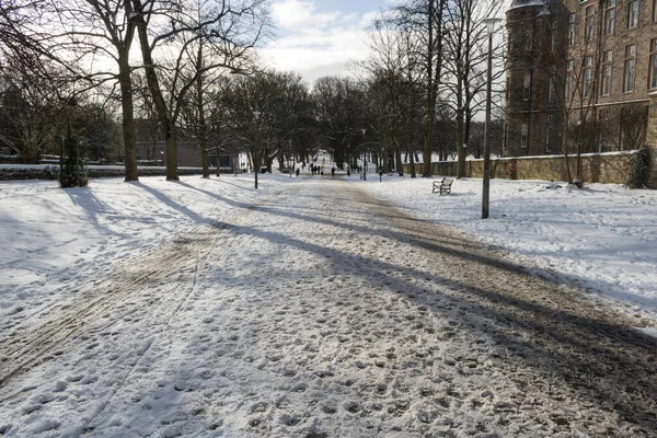Edinburgh, İskoçya 'da kış boyunca karla kaplı bir halk parkı.