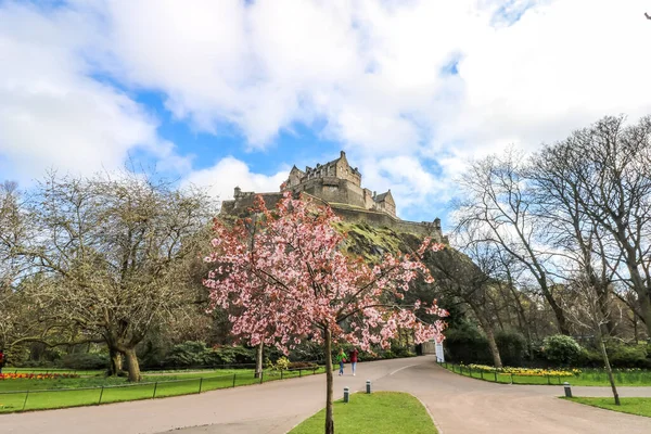 Вид Эдинбургский Замок Садов Цветущими Деревьями Эдинбурге Шотландия — стоковое фото