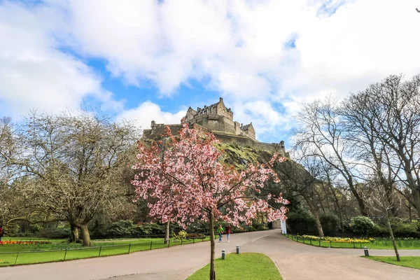 Edinburgh Şatosu, Edinburgh, İskoçya 'da çiçek açan ağaçlarla birlikte Princes Caddesi bahçelerinden görünüyor.