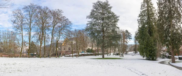 Scène Hivernale Avec Neige Dans Parc Public Dans Sud Allemagne — Photo