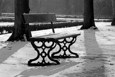 Açık yeşil bir alanda karla kaplı bir park bankının siyah beyaz fotoğrafı