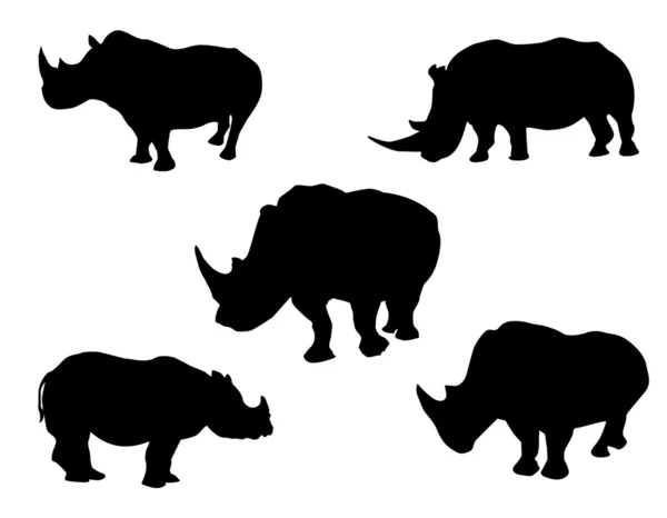 Rhinoceros set — Stock Vector