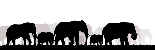 Ensemble Silhouette éléphants — Image vectorielle