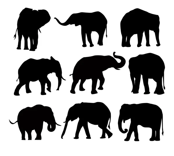 Elephants Silhouette Set — Stock Vector