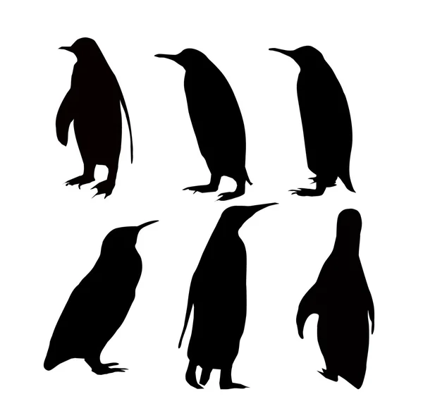 Conjunto de silhuetas de pinguins —  Vetores de Stock