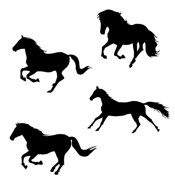 Horse — Stock Vector