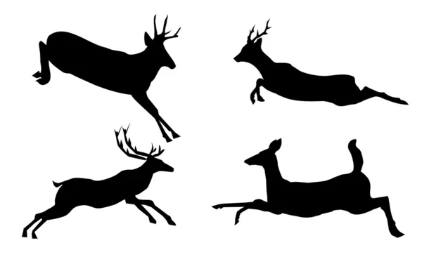 Deer — Stock Vector