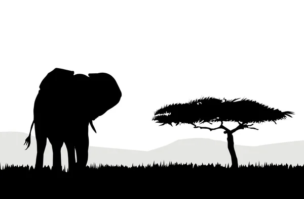 Elefante em Safari Africano — Vetor de Stock