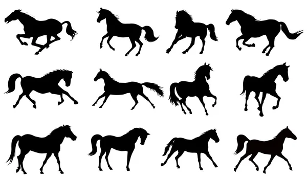 Conjunto de silueta de caballo — Vector de stock