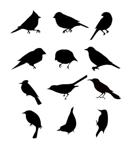 Birds Set — Stock Vector